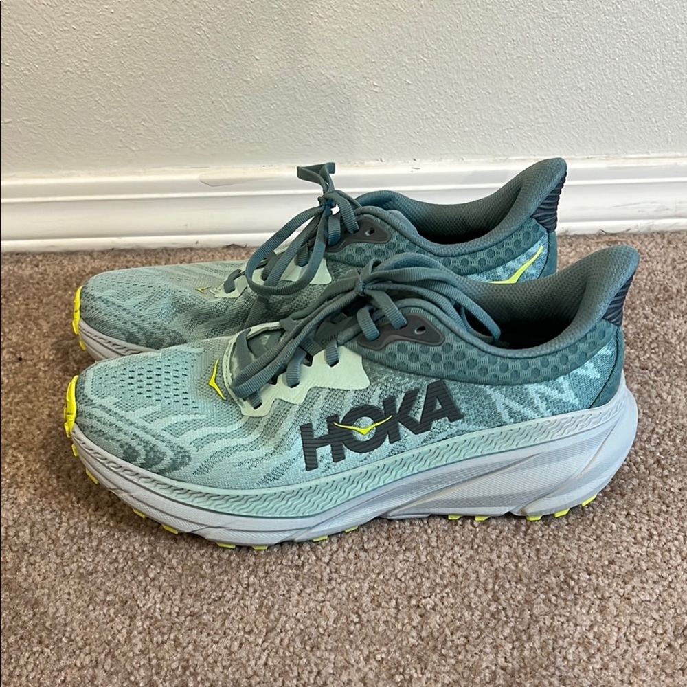 Hoka shoes